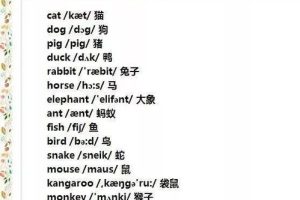 如何快速学好小学初中英语，怎样才能学好小学英语百度经验