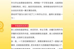 小学升初中语文学习方法指导,小升初语文教学方法